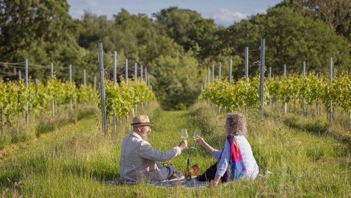 A man and a woman raise a toast in a vineyard