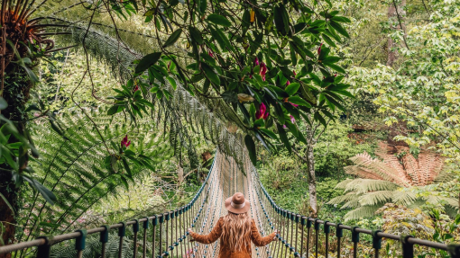 Woman walking across a rope bridge surrounded by trees