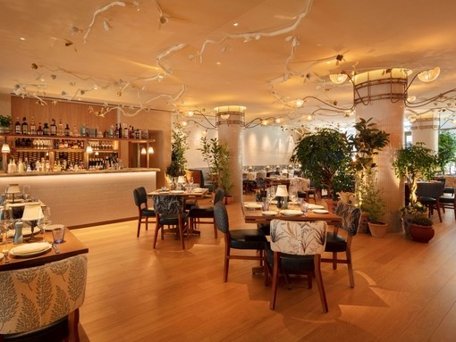 An interior view of Lavo Restaurant in London