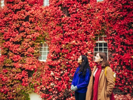 Two women in front of ivy covered wal