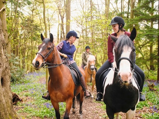 Horseback riders riding through a forest and talking