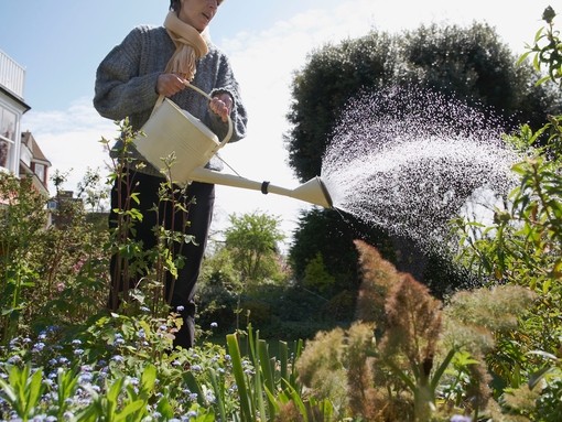 Woman waters garden in sunshine, in Eastbourne