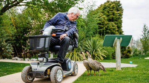 A man in a mobility scooter leans over to look at two birds by him on the ground. WWT Slimbridge Wetland Centre- Bronze award winner for for the Accessible and Inclusive Tourism Award at the VisitEngland Awards for Excellence 2023.