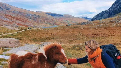 Woman crouching stroking a pony and crouching in grass