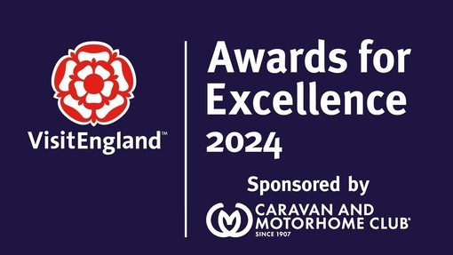 2024 VisitEngland Award for Excellence Logo - LANDSCAPE RGB NAVY
