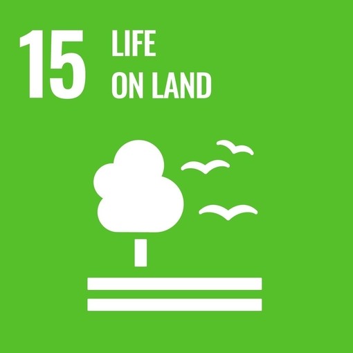UN SDG 15 life on land