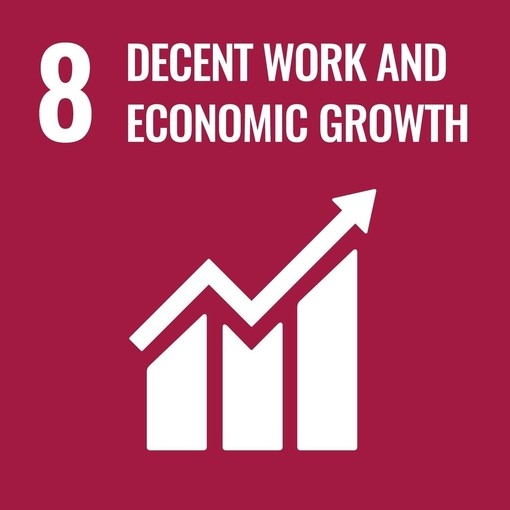 UN SDG 8 decent work and economic growth