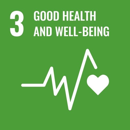 UN SDG 3 good health and well-being