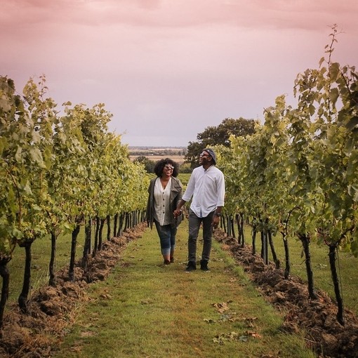 Man and woman walking between vines at a vineyard