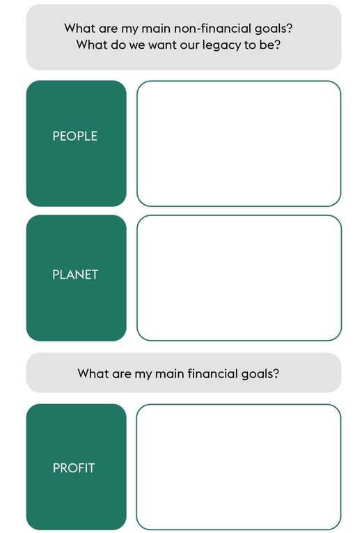 Triple Bottom Line Worksheet