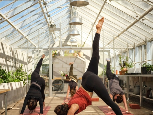People practicing yoga in a greenhouse.