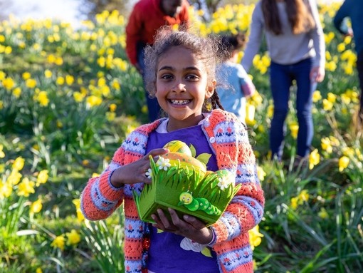 A girl standing in a field of daffodil flowers in Hexham, Northumberland.