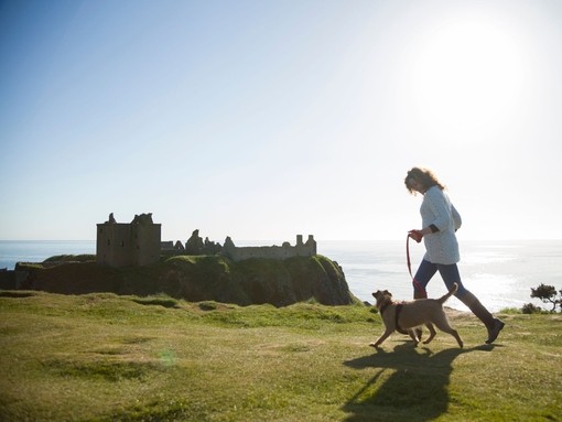 Woman walking near a castle with a dog on a clifftop by the sea