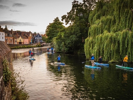 A group of people paddleboarding on the River Wensum