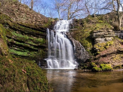 Scaleber Force
