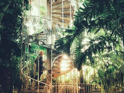 Woman going up the staircase in the Palm House